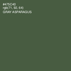 #475C40 - Gray Asparagus Color Image